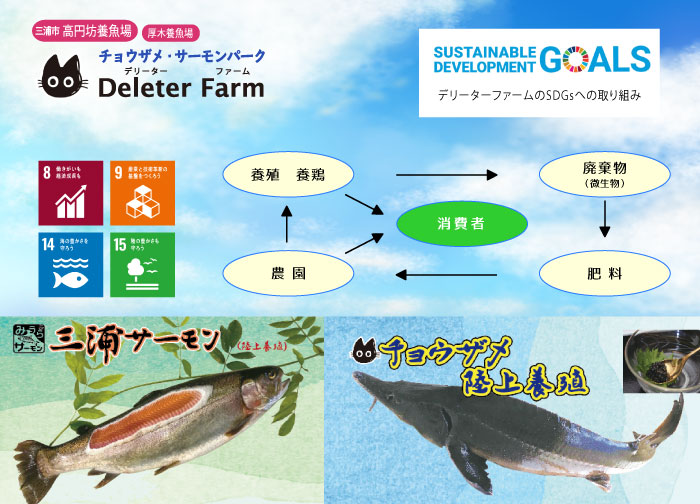 SDGs